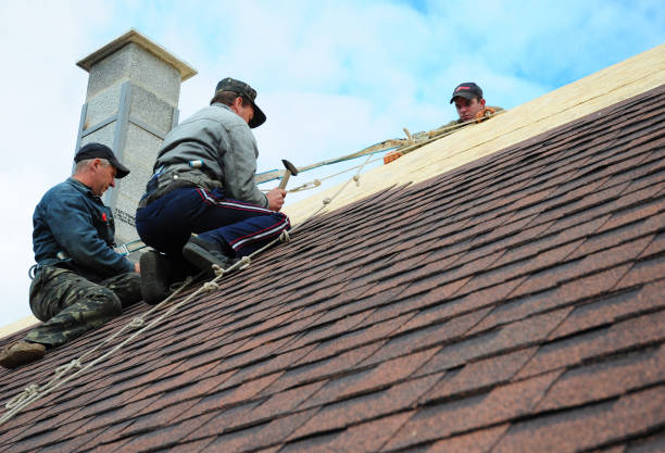 Best New Roof Installation  in Belvidere, IL
