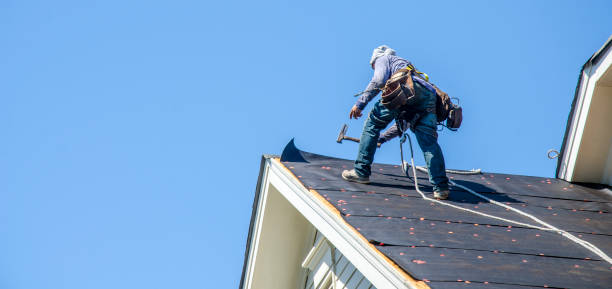 Professional Roofing Contractor in Belvidere, IL